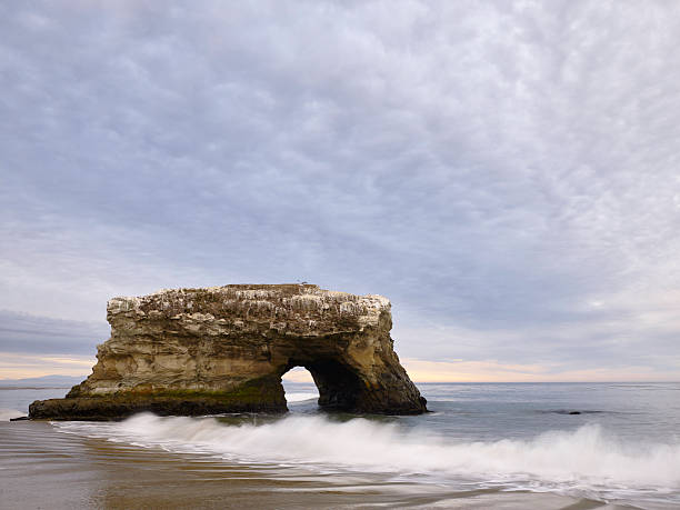 istock Natural Bridges State Beach, Santa Cruz 184433991