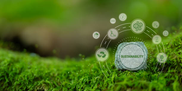 istock Environmental sustainability business concept.Innovative solutions by utilizing renewable energy sources, reducing waste, promoting conservation and reducing carbon footprint. Ethical and responsible. 1844387604