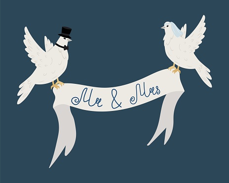 Two white doves, a dove in a veil and a pigeon in a hat holding a wedding ribbon with the inscription Mr. and Mrs. on a dark blue background