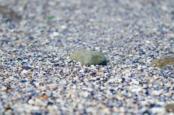 detail of pebble on sand beach