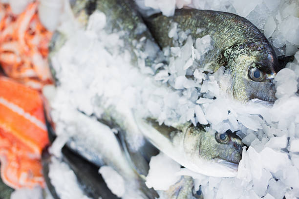 istock Pile of  fish on ice 184440505