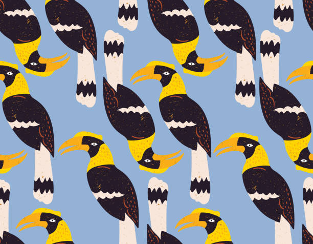 ilustrações, clipart, desenhos animados e ícones de pássaro hornbill bonito na selva padrão sem costura com animais selvagens bonitos infantil. safári de animais - bucerotidae