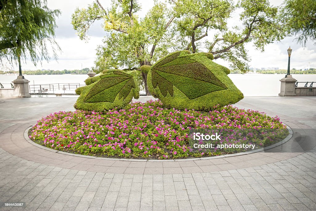 Flowerbed в Songhua Река - Стоковые фото Достопримечательность роялти-фри