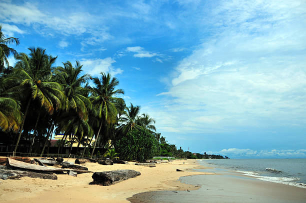 Libreville, Gabon: Tropicana beach Libreville, Estuaire Province, Gabon: coconut trees and golden sand - Tropicana beach - Quartier Tahiti - photo by M.Torres gabon stock pictures, royalty-free photos & images