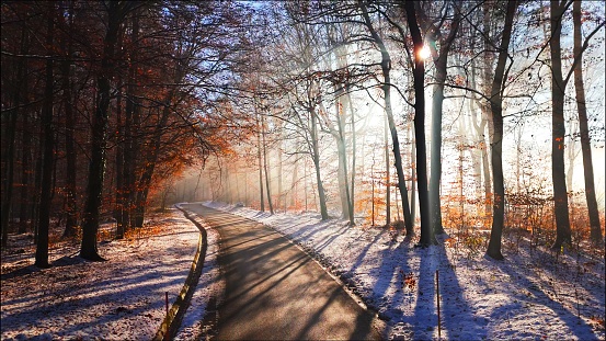 Empty winding road amidst autumn forest with snow during winter