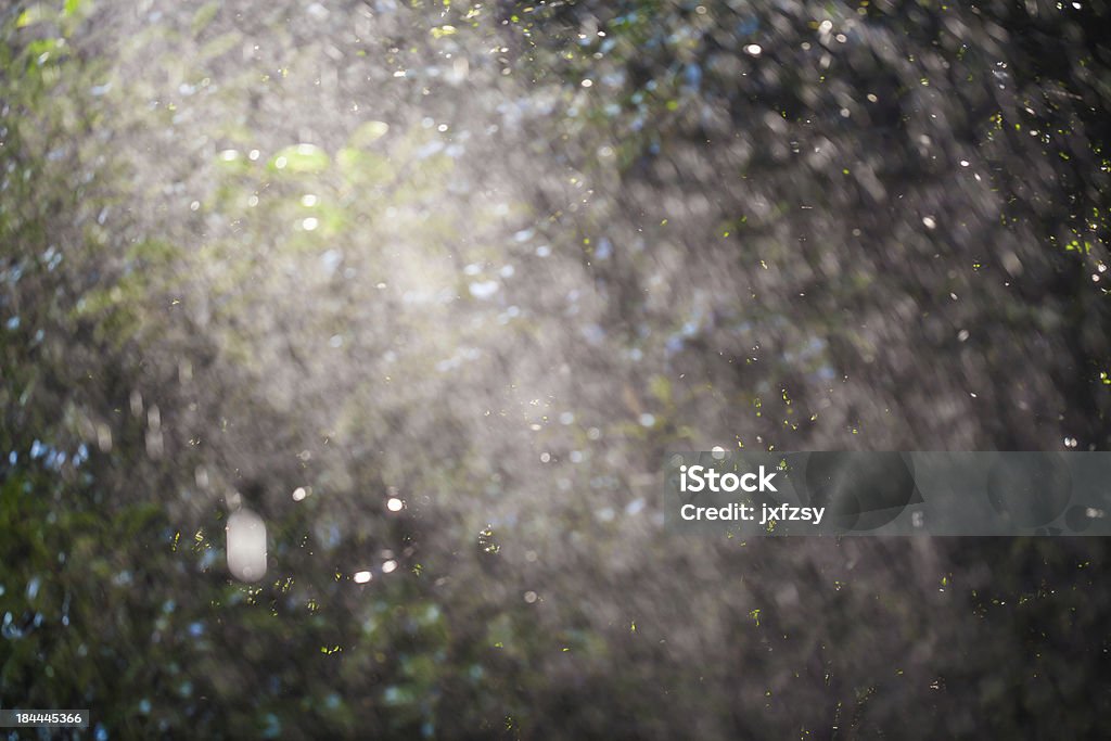 Gotas de lluvia - Foto de stock de Agua libre de derechos