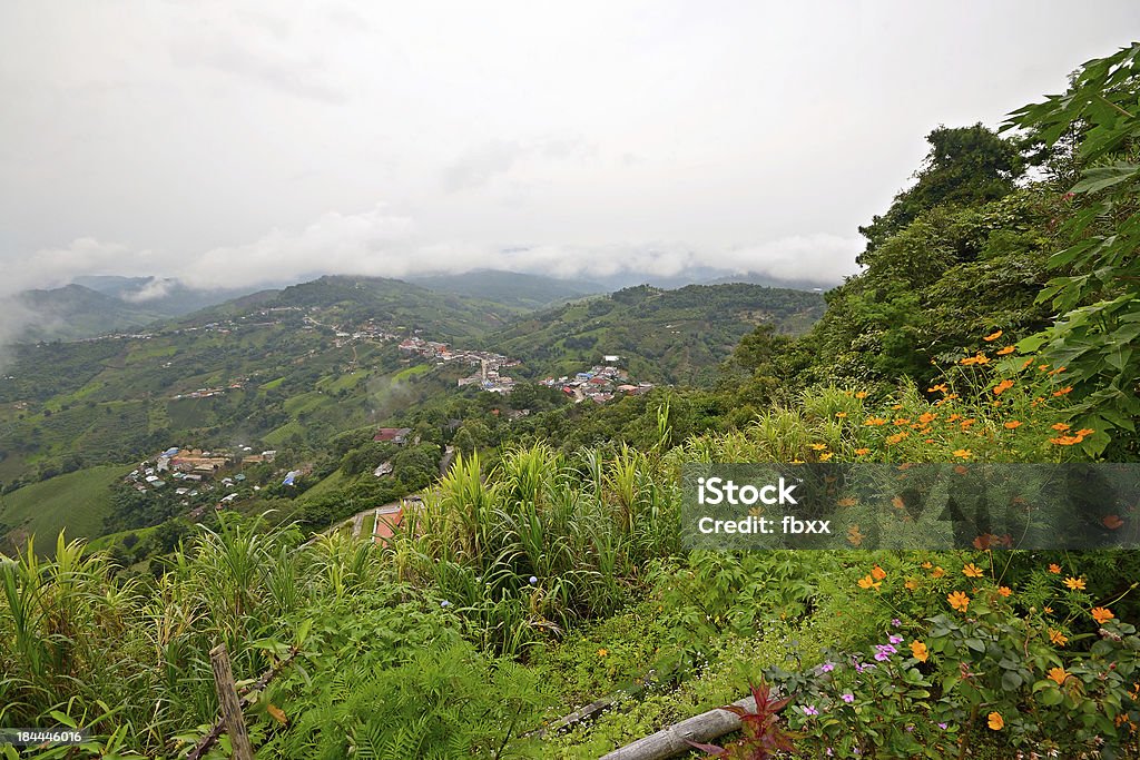 Verdoyantes collines à la végétation luxuriante - Photo de Angle de prise de vue libre de droits