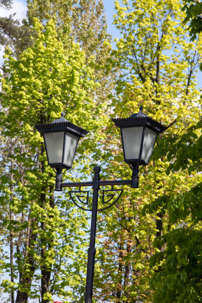 istock Retro lantern on the background of trees 1844488139