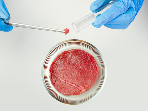 meat substitute in laboratory, food innovation technology research