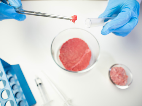 Synthetic meat, cultivated meat in laboratory, cellular agriculture, cultured meat production concept