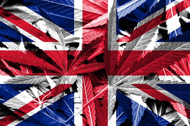 UK Flag on cannabis background. Drug policy stock photo