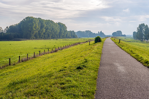 Cycle path on top of a dike along a river in the Dutch province of North Brabant. It is still early in the morning and the grass is dewy.