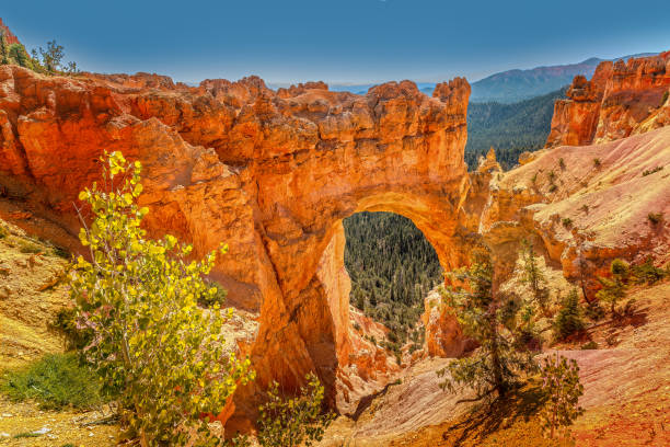istock Natural arch on a sunny day in the Bryce Canyon National Park 1844546793