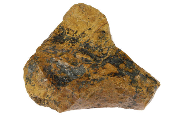 istock wood opal from Chomutov, Czech Republic 1844559763