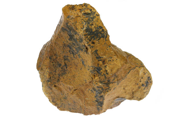 istock wood opal from Chomutov, Czech Republic 1844560698