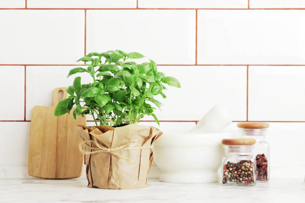 istock Composition of fresh basil and kitchen utensils, spices, on the kitchen table. 1844560706