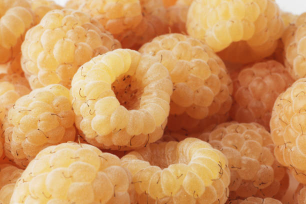 istock Ripe yellow raspberries as background close-up. 1844679822