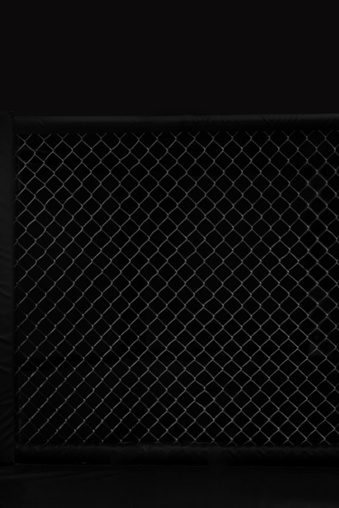 Image of an octagon. Concept of boxing, sport, muay thai, martial arts.