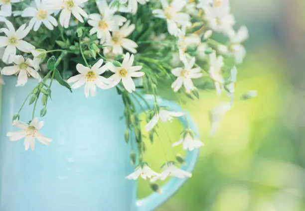 Cute delicate bouquet of forest spring flowers in a blue cup 
Artistic photo with soft pastel tones