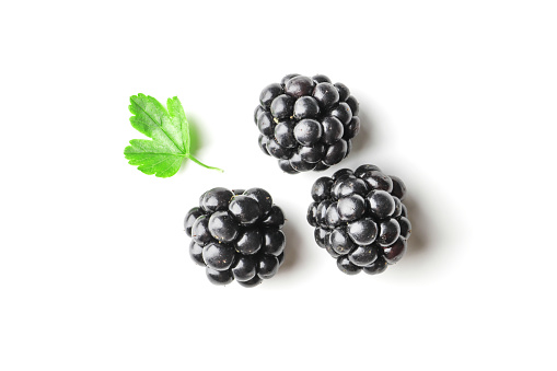 fresh ripe blackberry isolated on white background