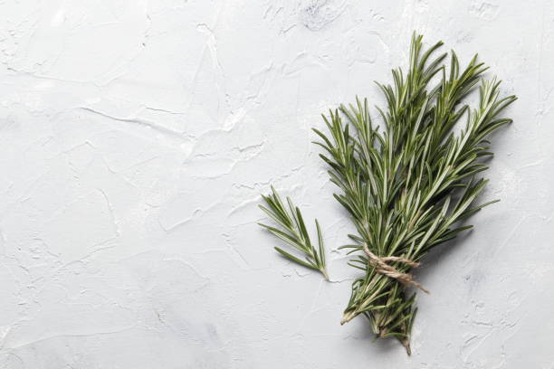 istock Flat lay composition with rosemary on white concrete background, space for text 1844730382