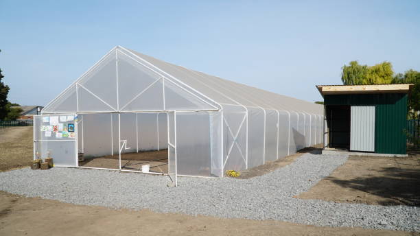istock Greenhouse for growing plant seedlings. 1844732996