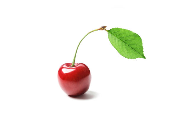 istock Fresh sweet ripe sweet cherry isolated on white background. 1844741923