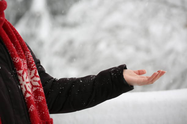 Free Stock Photo of Person extending hands to catch falling snowflakes ...