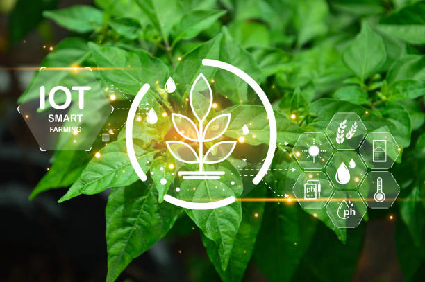 istock The concept of using AI and smart farming. 1844814435
