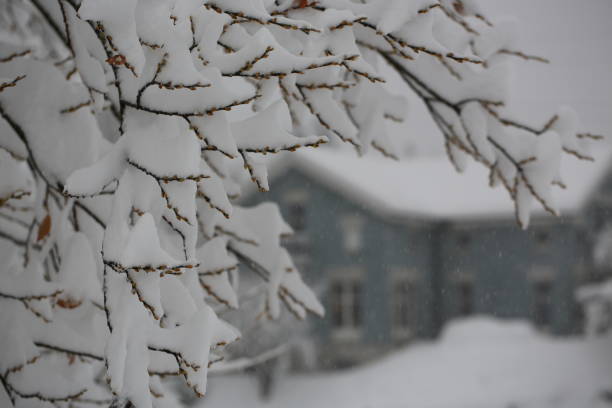 istock Willow, snow and a cozy blue house. 1844835799
