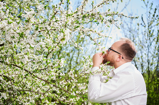 Man allergic enjoying after treatment from seasonal allergy at spring. Portrait of happy bearded man sniffing the flowers in front of blossom tree at springtime. Spring allergy concept.