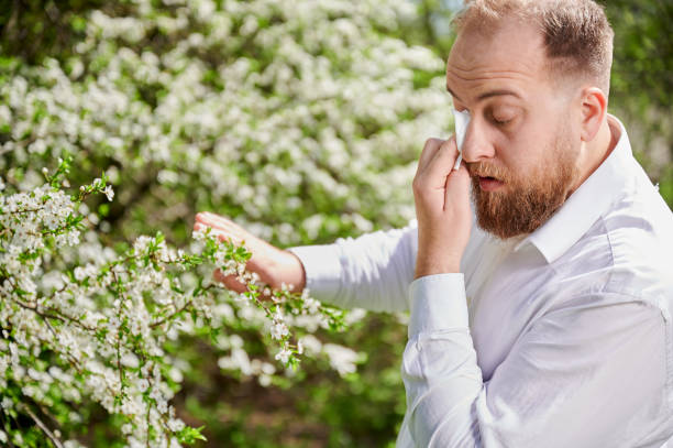 istock Man allergic suffering from seasonal allergy at spring, sneezing and blowing nose with handkerchief. 1844856485