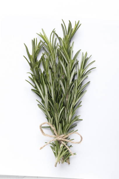 istock Fresh green rosemary isolated on white background 1844920569