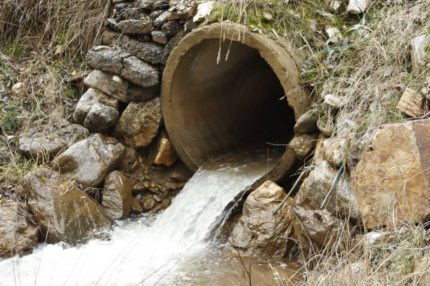 istock moss rock animals flowing river and nature 1844934631