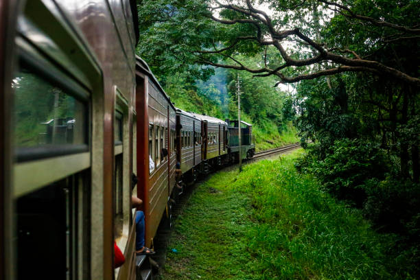 istock the Train travels through dense forest to Badulla 1844942049