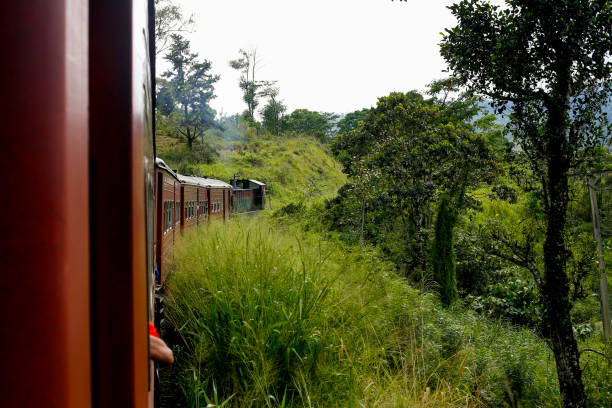 istock the Train travels through dense forest Colombo to Badulla 1844943133