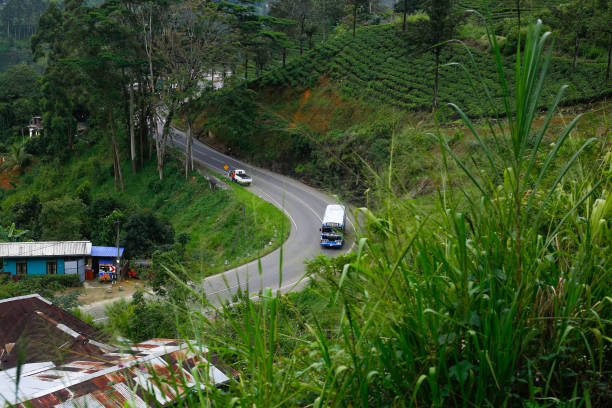 istock A beautiful Road found amidst green meadows and tea plantations - Hatton 1844951747