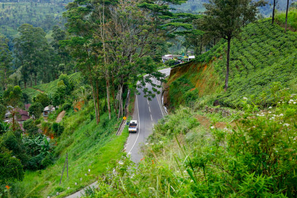 A beautiful Road found amidst green meadows and tea plantations