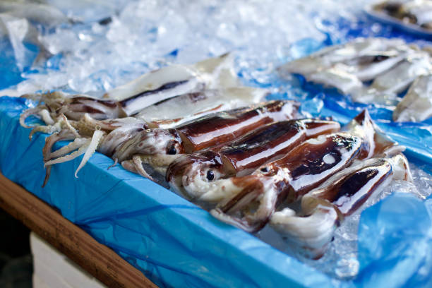 In a bustling Korean market, fresh squid is artfully displayed on ice, showcasing the vibrancy of local seafood traditions.