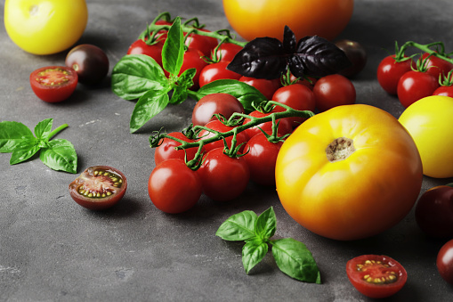 Composition of ripe fresh tomatoes of different varieties, mini bell peppers, spices, rammarine, thyme, basil, chilli pepper, on a concrete textured background with space for text.