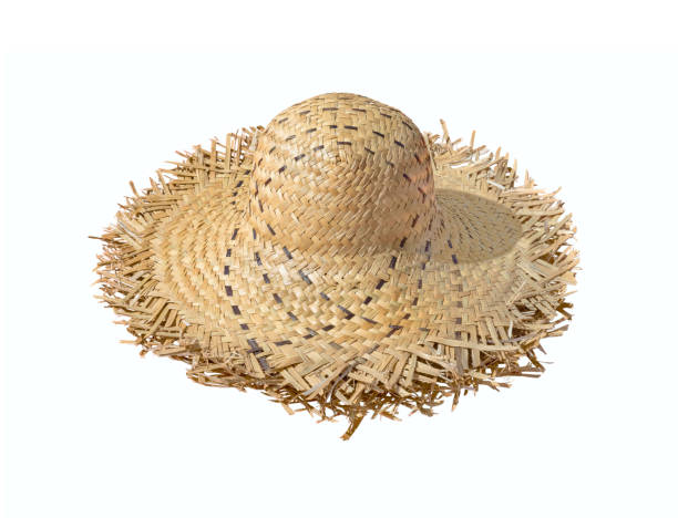 istock female hat with black ribbon isolated on white background 1844992337