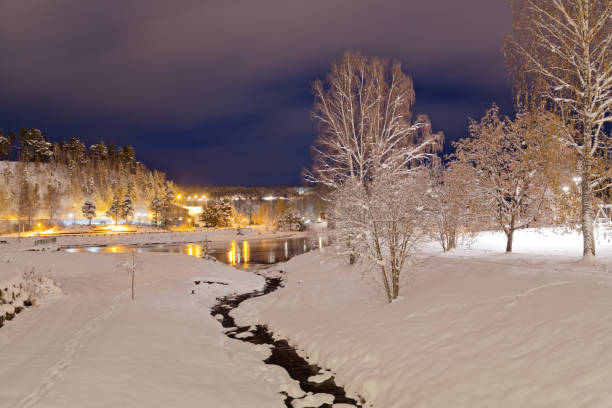 スウェーデン北部の町、冬のソレフテアのパノラマビュー - sweden cottage winter snow ストックフォトと画像