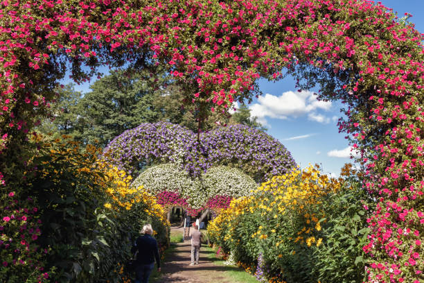 istock flower installation outdoors 1844997350