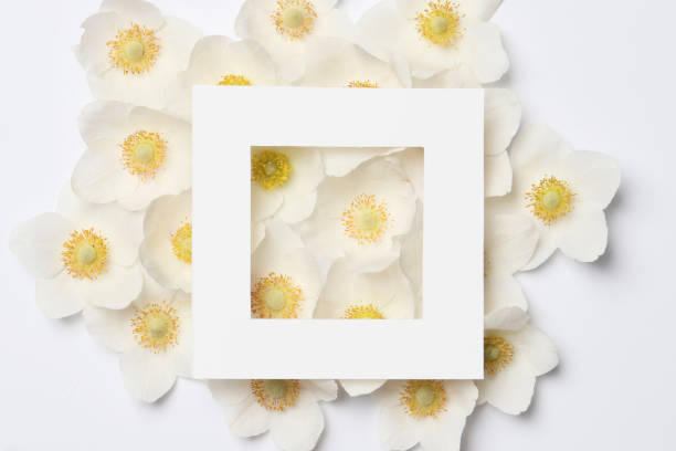 istock Creative layout made of colorful spring flowers. Minimal holiday concept. Flat lay pattern. 1845001700