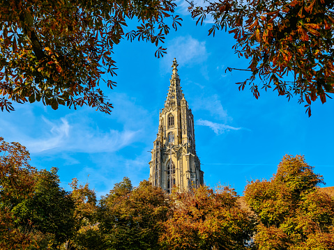 Bern Cathedral (The Bern Münster), late-Gothic building surrounded with autumn trees in Switzerland.