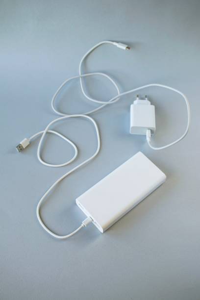 istock Power bank, external battery and USB cable, universal mobile battery for recharging gadgets 1845031296
