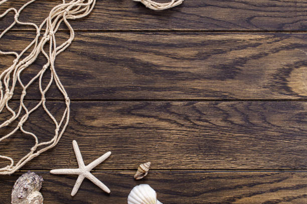 Fishing net and sea shells on old oak board background with copy space