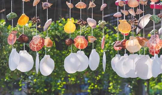 Row of colorful seashell mobile hanging in home gardening area