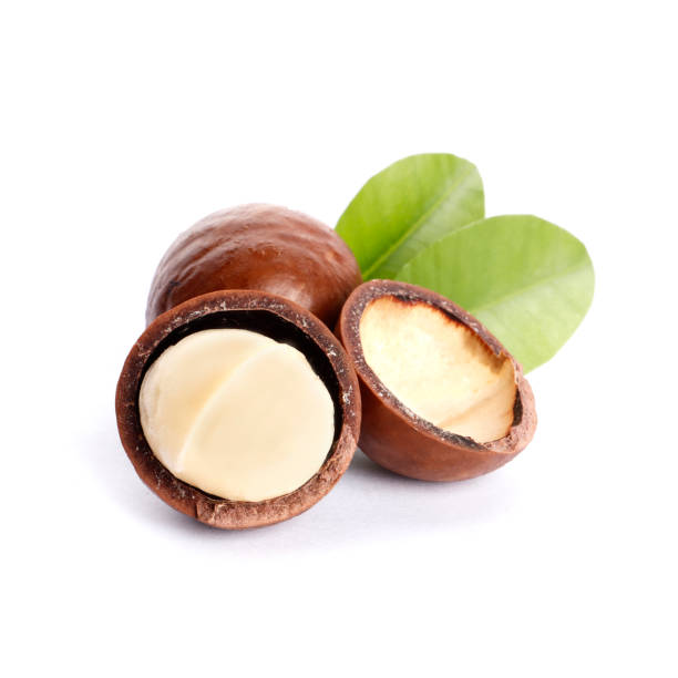 istock Macadamia nuts and green leaf isolated on white background 1845056234