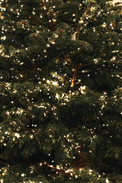 istock Christmas New Year abstract vertical background. Golden lights and green pine branches. 1845066710